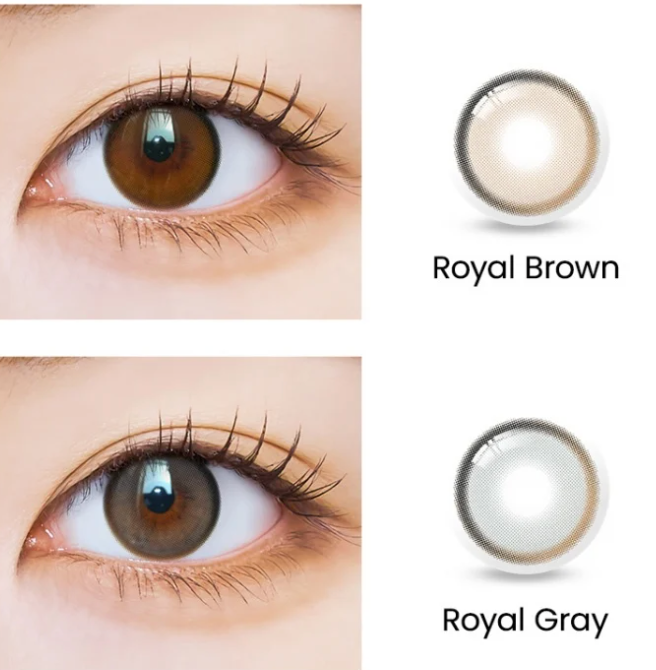 I SHA - ORIANA FIT Royal Brown - 半年 con