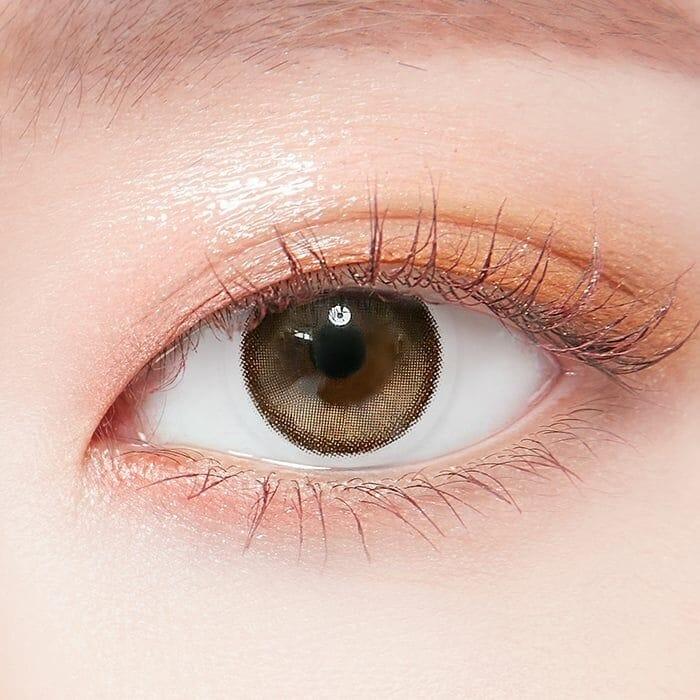 Lenstown To better Brown Toric 散光 - 季 con