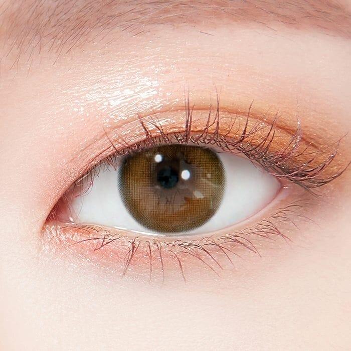 Lenstown Tonoon Cuddling Brown Toric 散光 - 半年 con