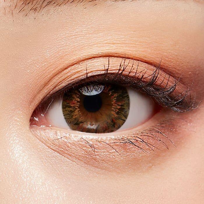 Lenstown Sand Beach Brown Toric 散光 - 半年 con