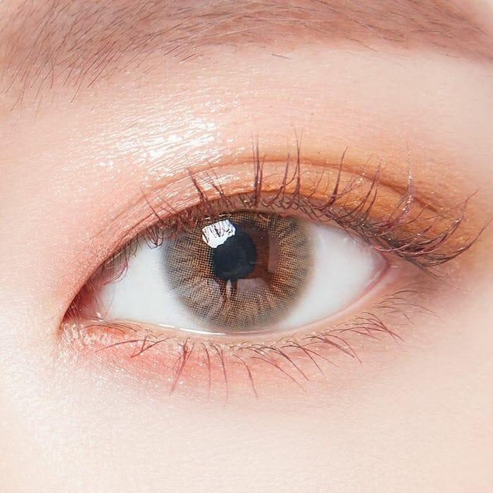 Lenstown Kiralet Brown Toric 散光 - 半年 con