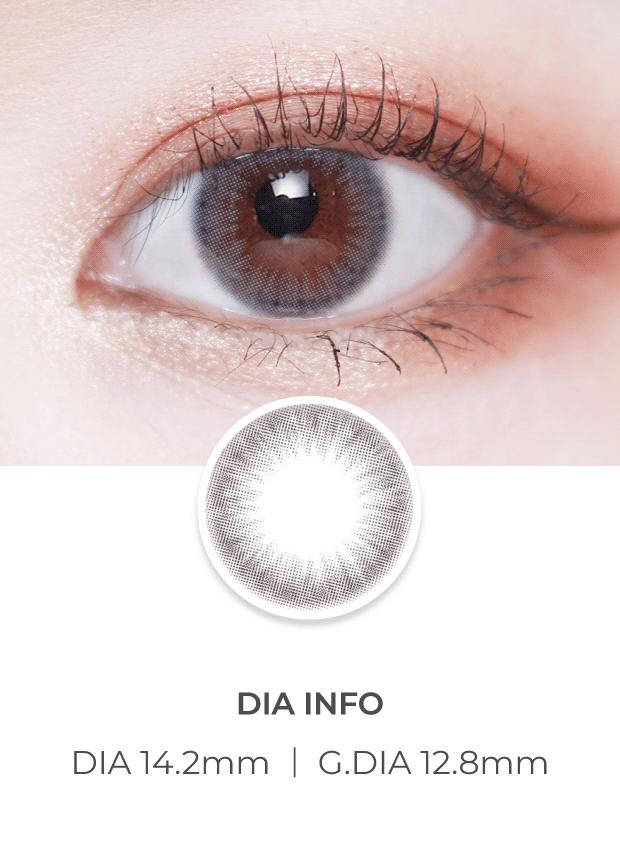 Lensvery Sarr Gray - 季 con