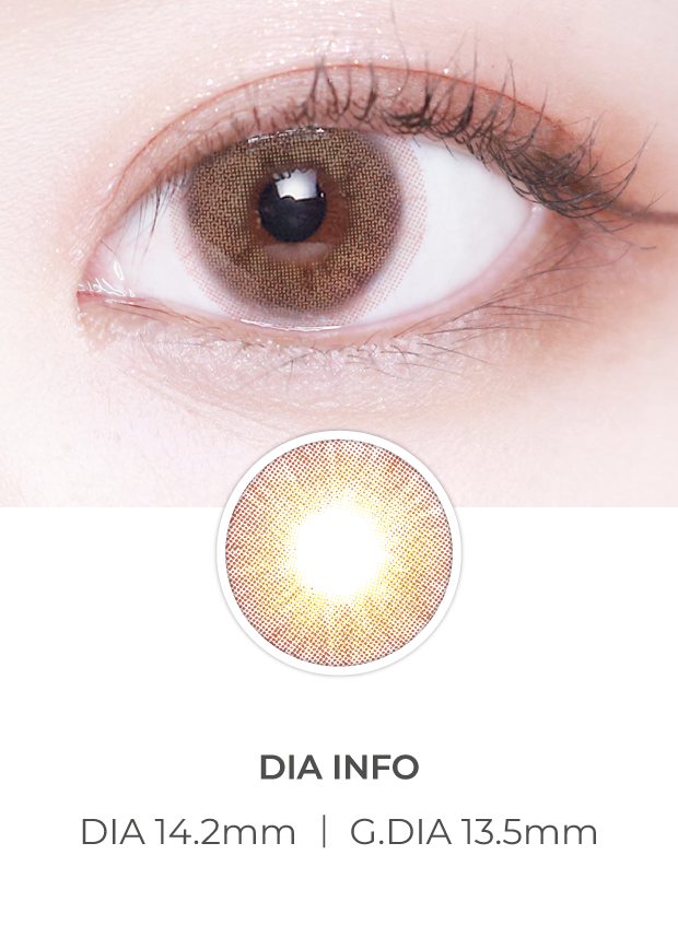 Lensvery Tinkervery Hazel - 季 con