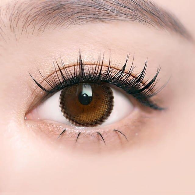 I SHA - ORIANA EDGE+ Shade Brown - 年con