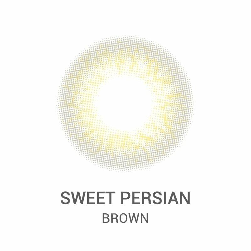 URIA i-DOL - SWEET PERSIAN Brown - 年con