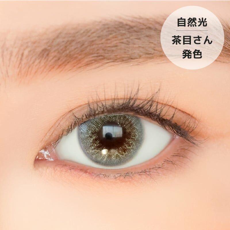 URIA i-DOL - SWEET PERSIAN Brown - 年con