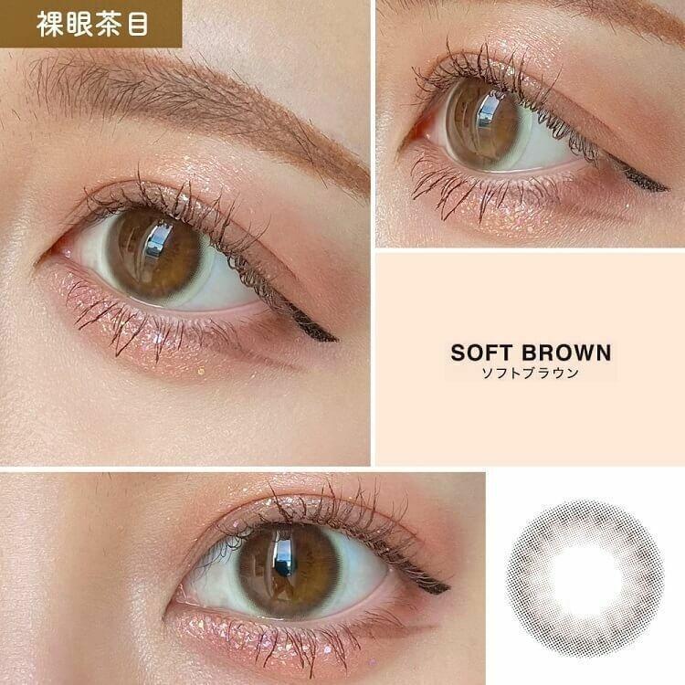 Purity by Diya - 1 Day CIRCLE SOFT BROWN (10P)
