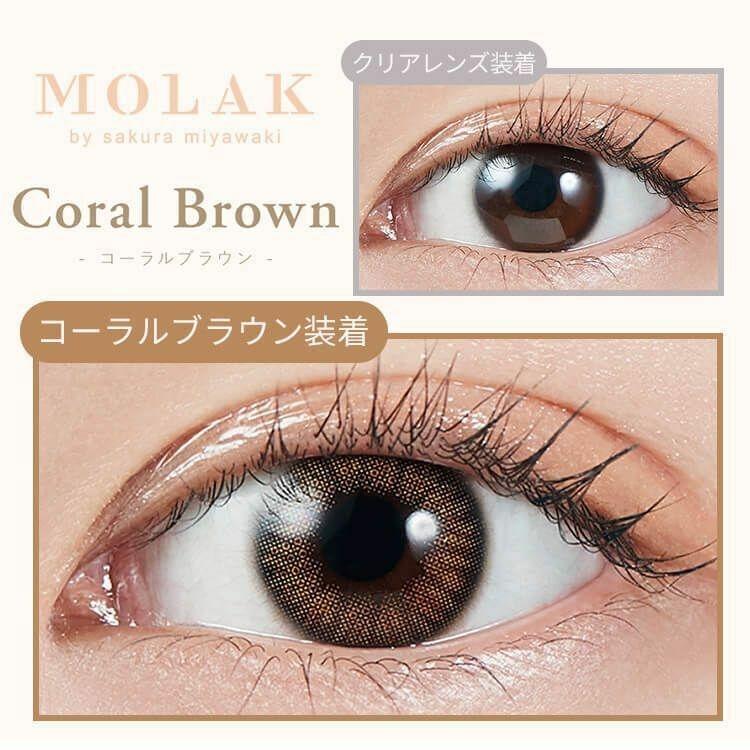 MOLAK - 1day Coral Brown (10P)