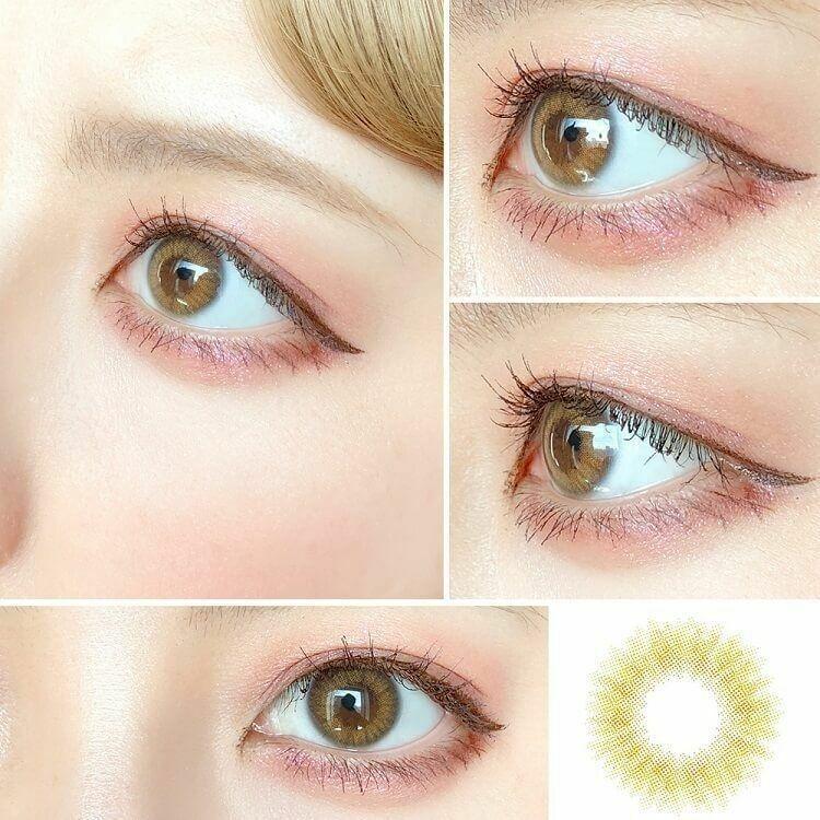 MOLAK - 1day Coral Brown (10P)