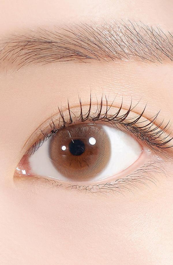 Hapa Kristin - Dewy Kristin Basic Brown - 月 con  (2P)