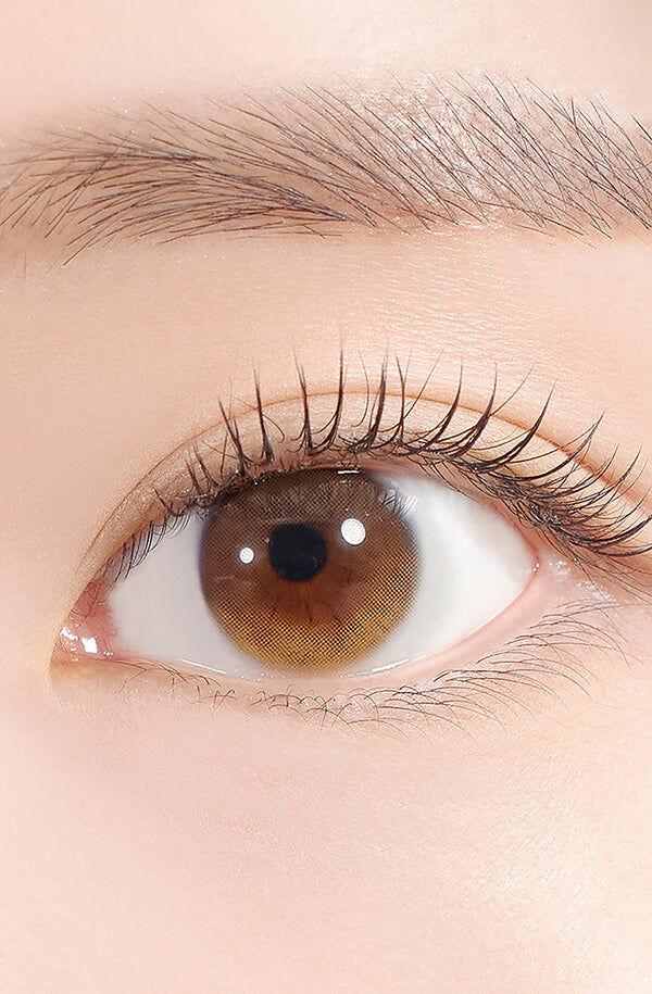 Hapa Kristin - Secretive Kristin Basic Brown - 月 con  (2P)