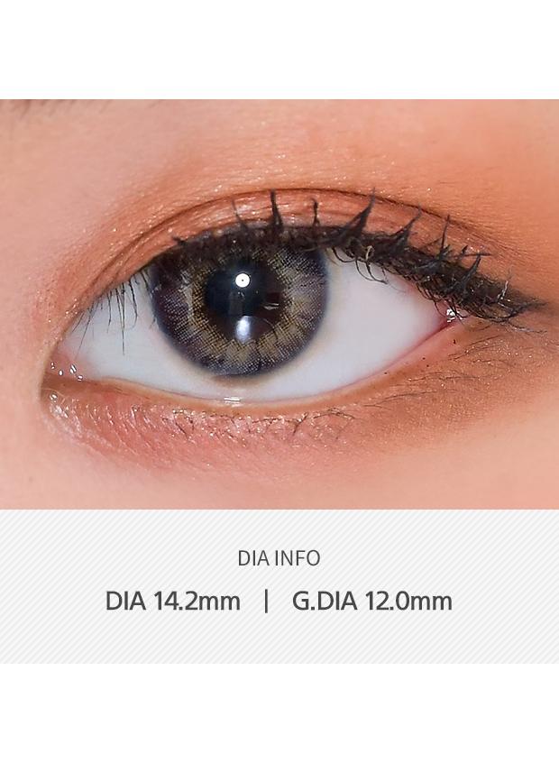 ANN365 Rich Ann 1Day - Natural Gray (6P)