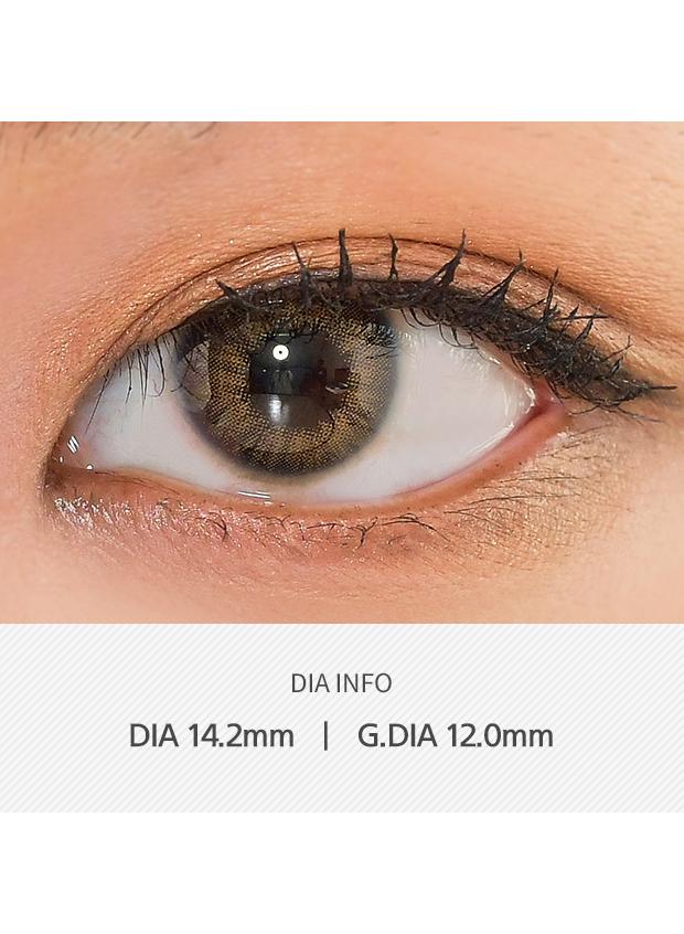 ANN365 Rich Ann 1Day - Natural Brown (6P)