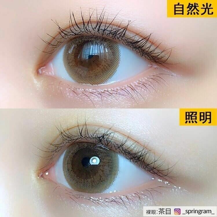 Chu’s me - 1 Day Chiffon Brown (10P)