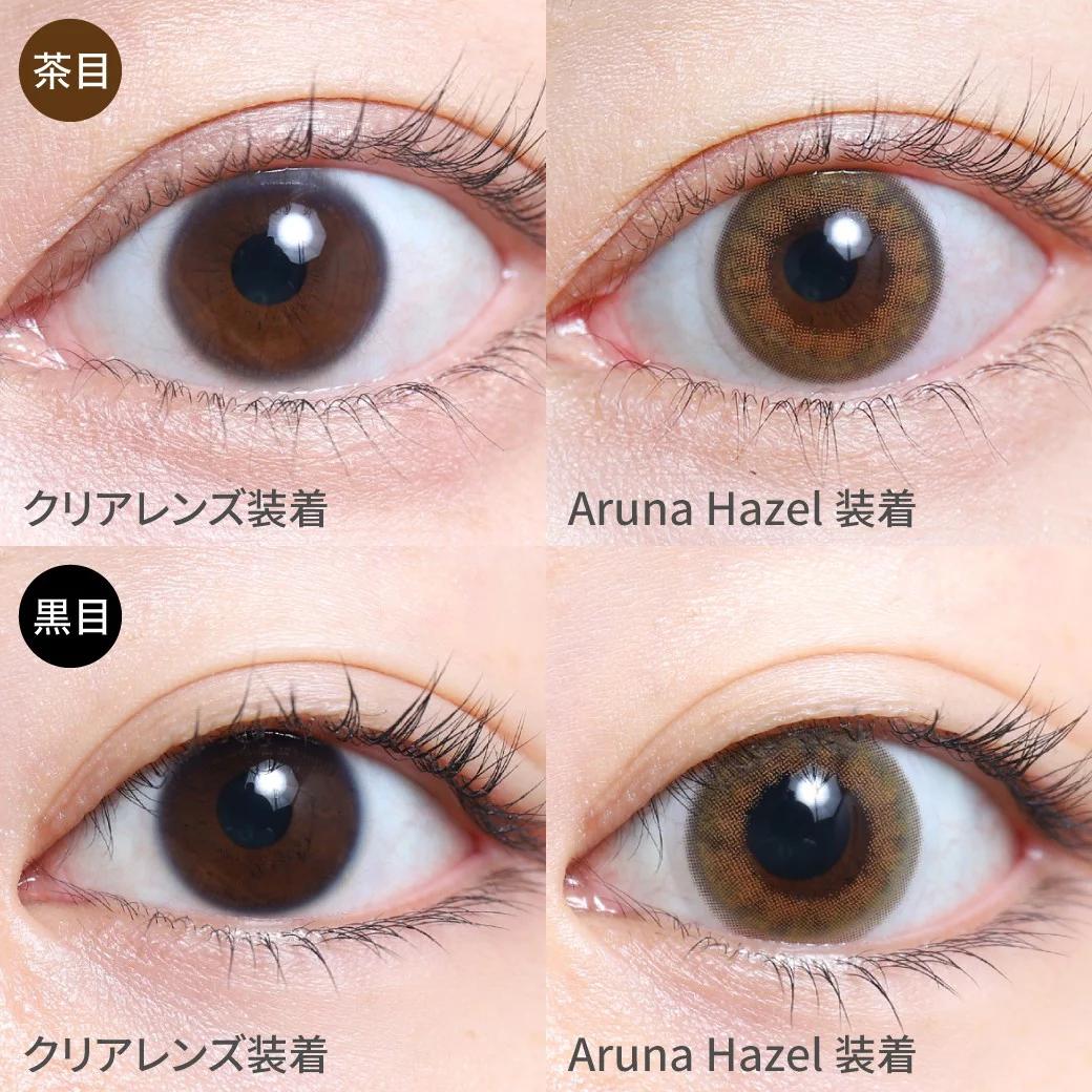 TeAmo - 1 Day Half Type - Aruna Hazel (10P)