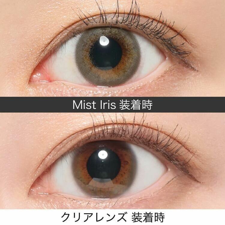Revia - 1 Day Color - Mist Iris (10P)
