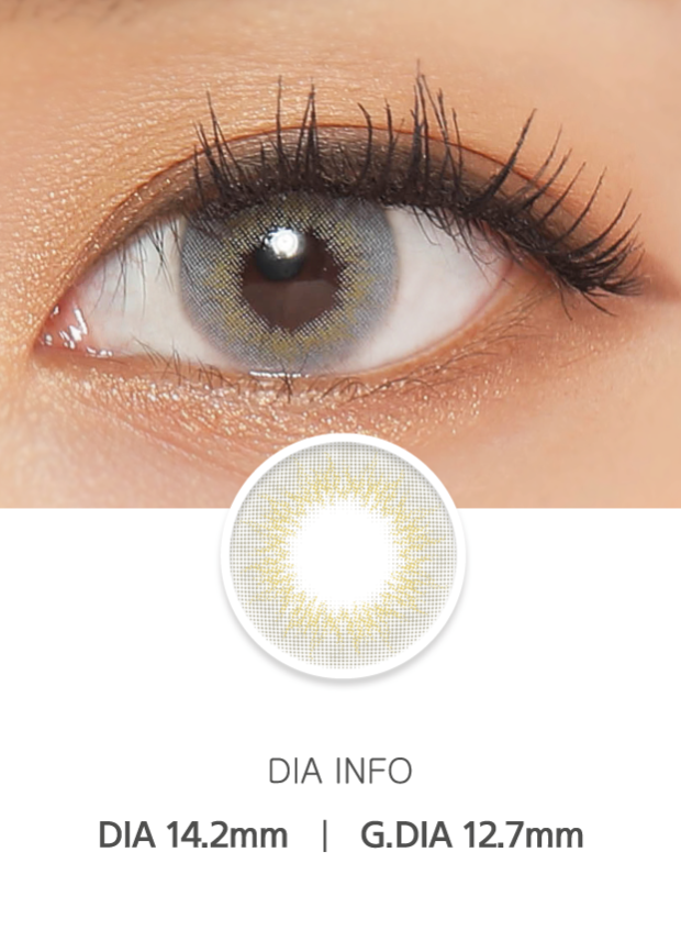 Ann365 Mix Ann Holiday Gray - 月con (2p)