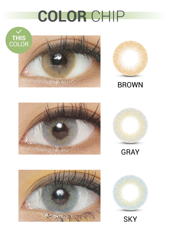 Ann365 Mix Ann Holiday Brown - 月con (2p)