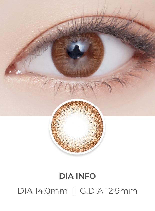 Lensvery Rosee Classic Brown - 月con (2p)