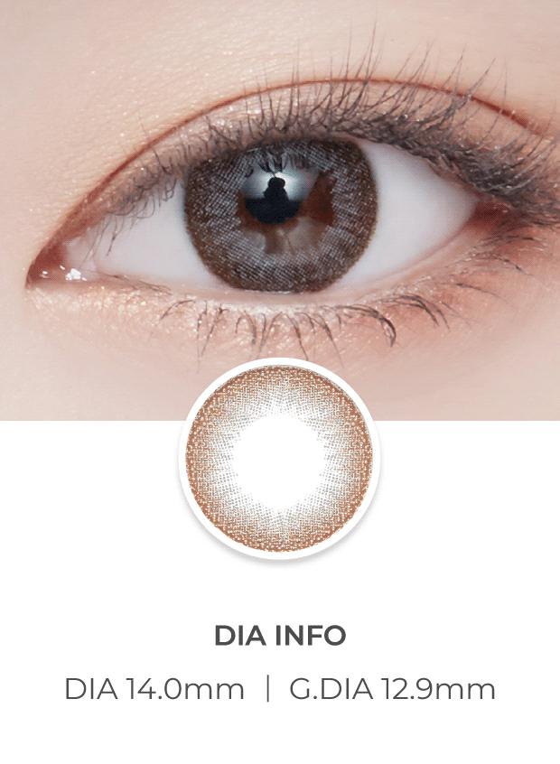 Lensvery Rosee Classic Gray - 月con (2p)