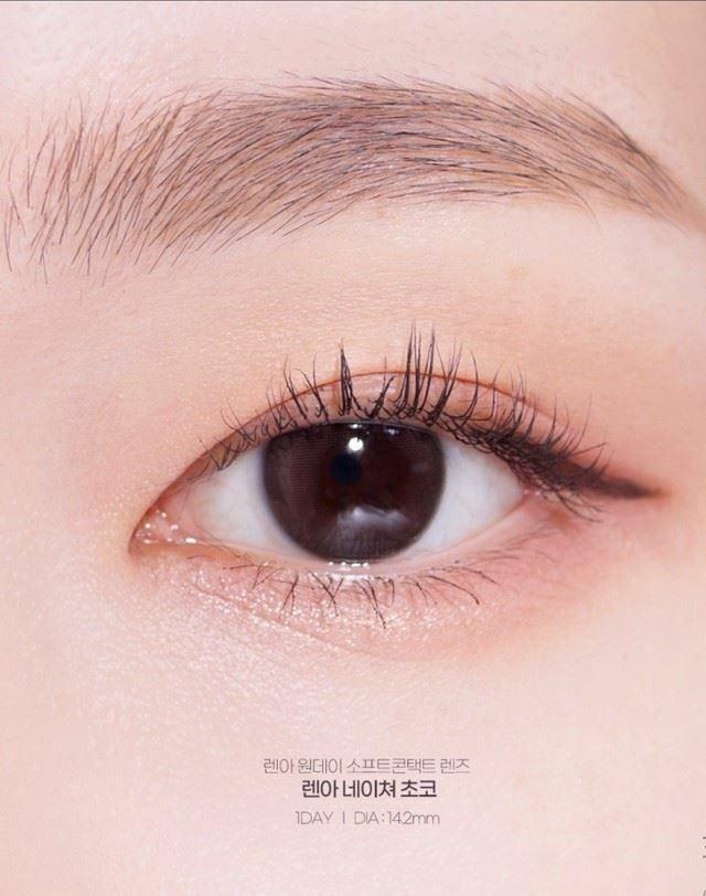 Lenah 1Day  Natural Choco (30P)