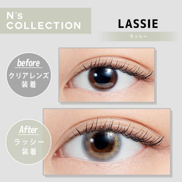 N’s COLLECTION - 1 day - Lassie (10p)