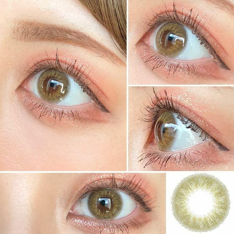 N’s COLLECTION - 1 day - Hojicha Latte (10p)