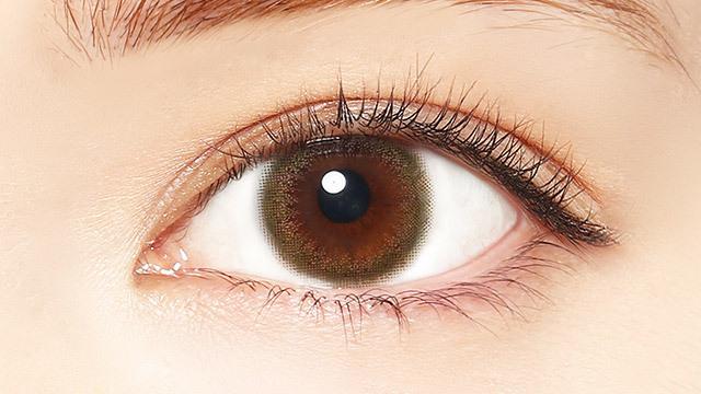 LALISH  - 1Day - effortless khaki (10P)