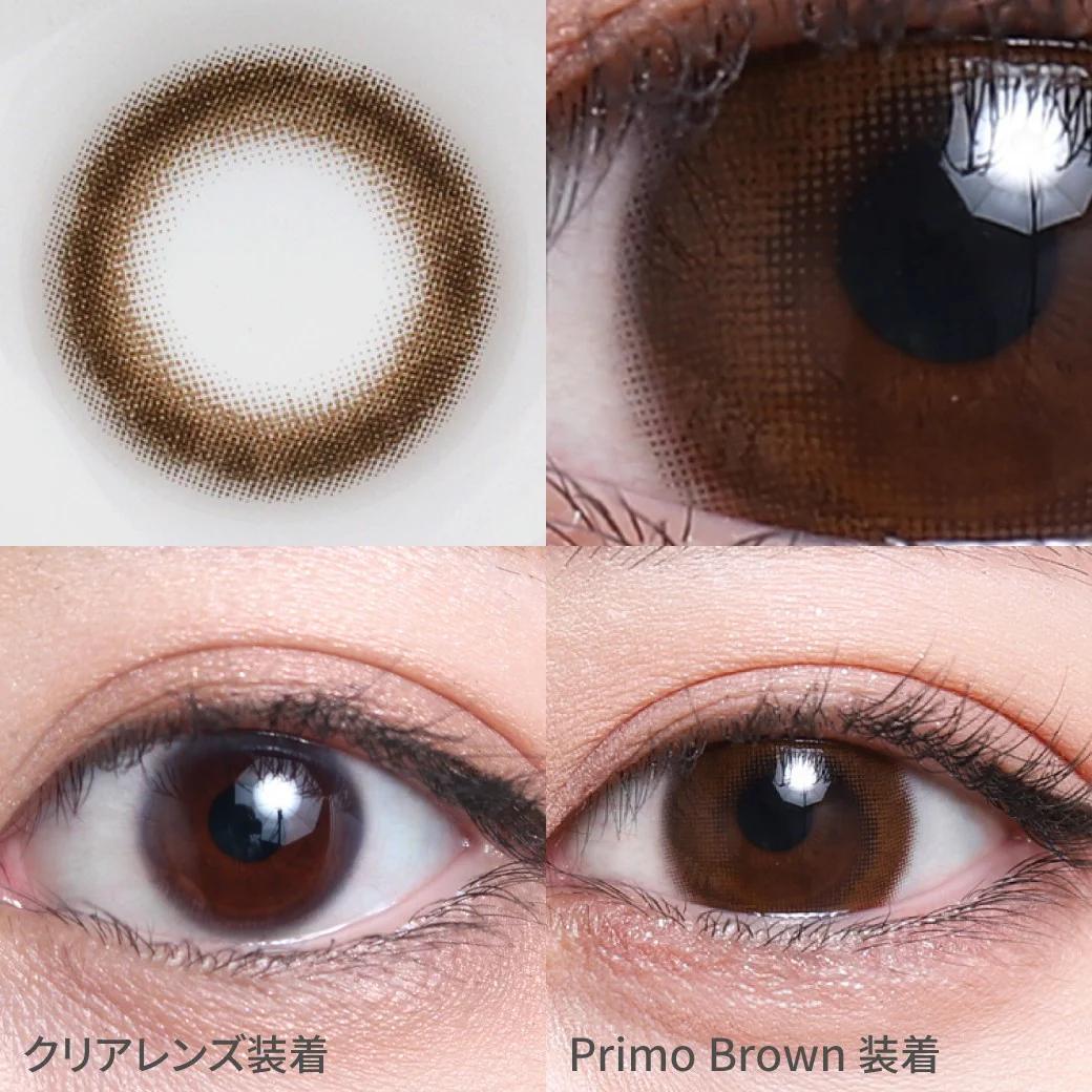 TeAmo - 1 Day Circle Type - Primo Brown (10P)