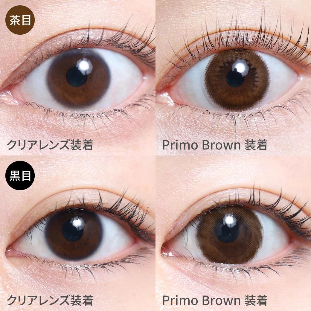 TeAmo - 1 Day Circle Type - Primo Brown (10P)