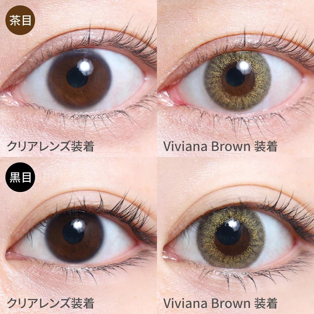 TeAmo - 1 Day Natural Half - Vivian Brown (10P)