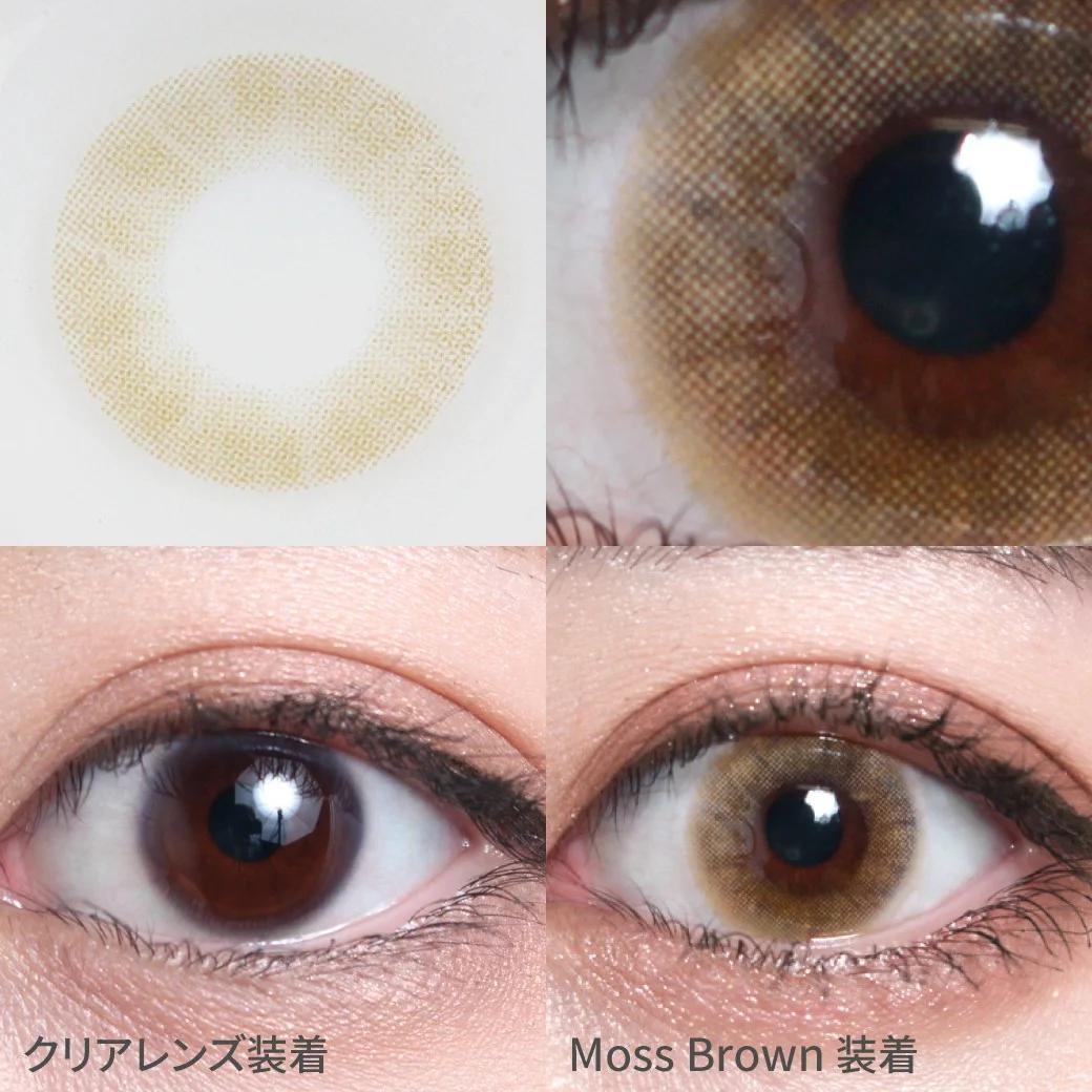 TeAmo - 1 Day Half Type - Moss Brown (10P)