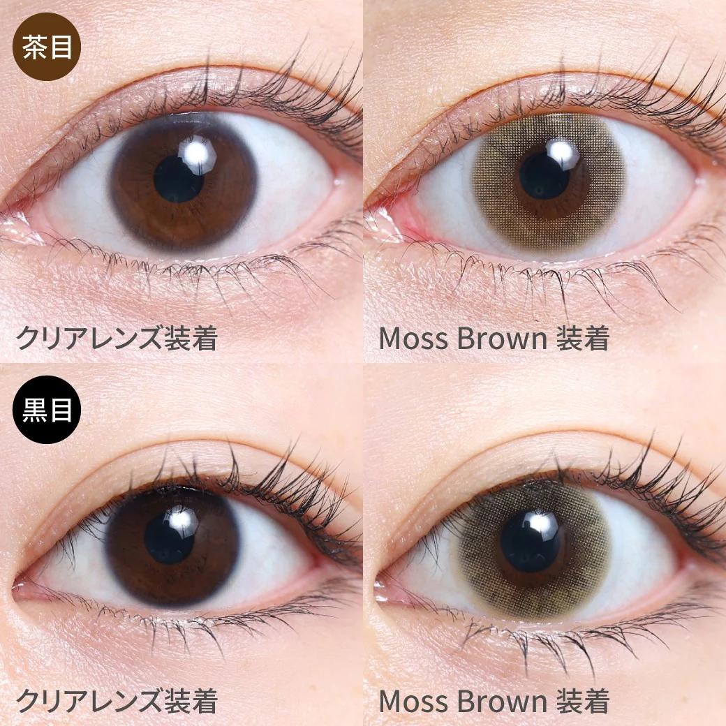 TeAmo - 1 Day Half Type - Moss Brown (10P)