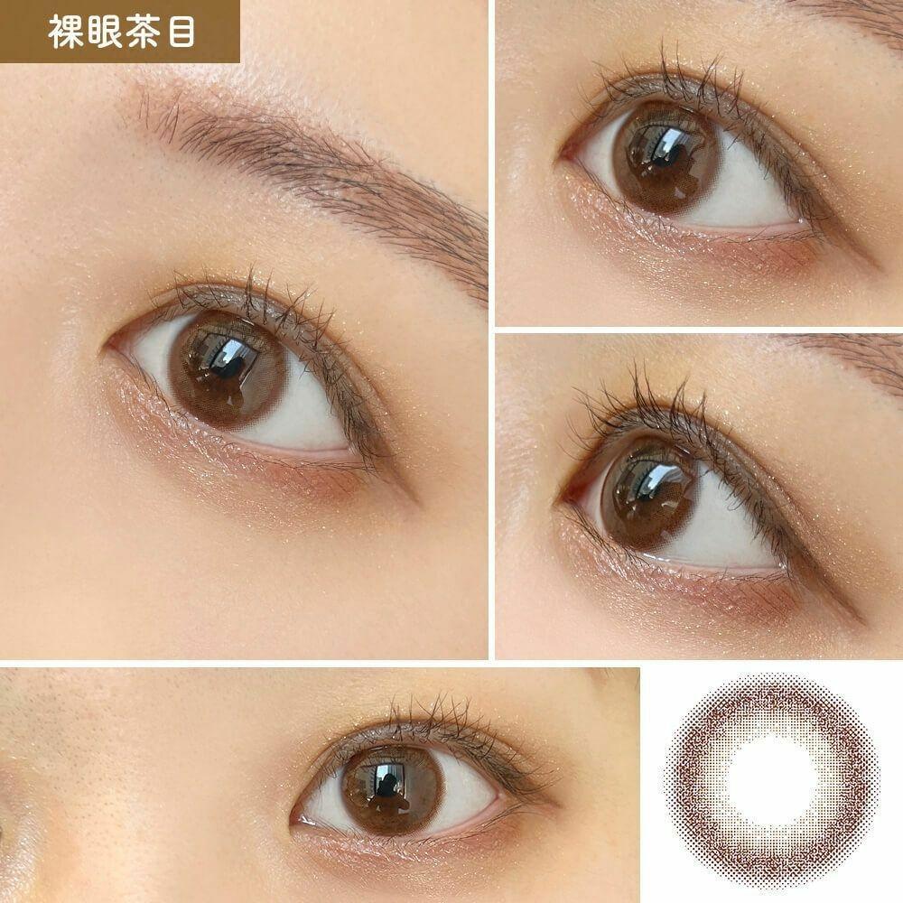 Prismel - 1 Day Milk Brown (10P)