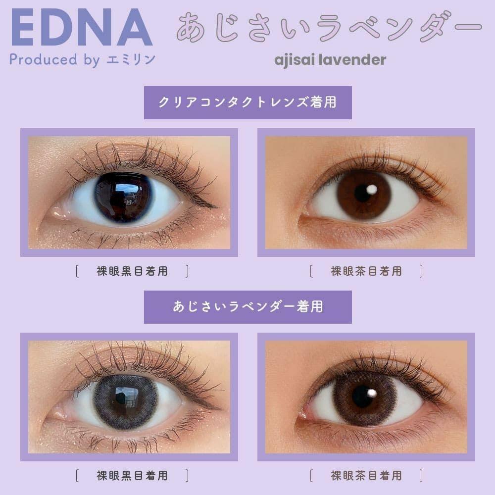 EDNA - 1Day - ajisai lavender (10P)