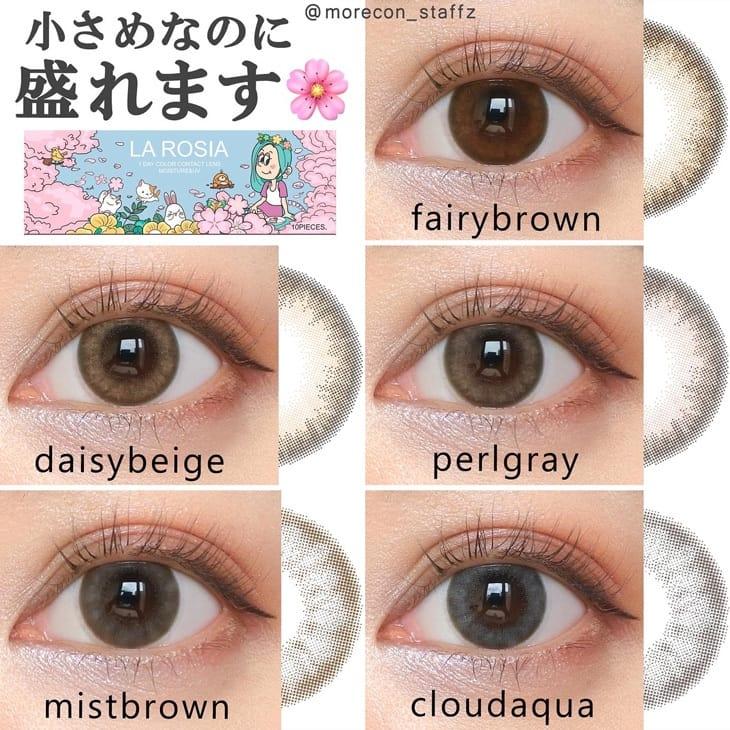 LA ROSIA  - 1 day  Fairy Brown  (10p)