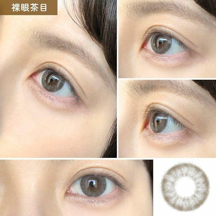 LA ROSIA  - 1 day Mist Brown  (10p)