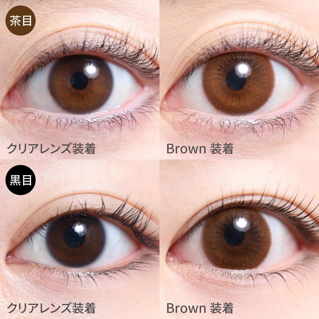 TeAmo - 1 Day Circle Type - Brown (10P)