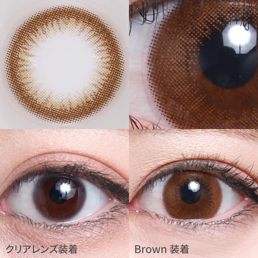 TeAmo - 1 Day Circle Type - Brown (10P)