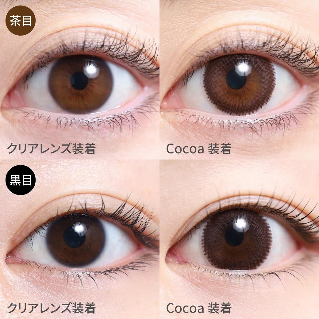 TeAmo - 1 Day Circle Type - Cocoa (10P)