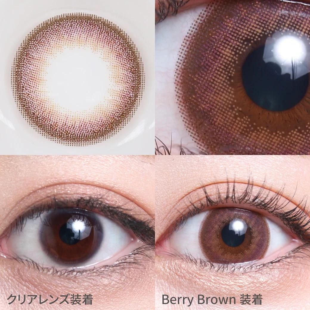 TeAmo - 1 Day Berry Brown (10P)