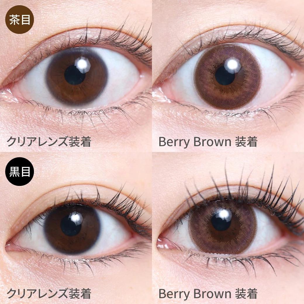 TeAmo - 1 Day Berry Brown (10P)