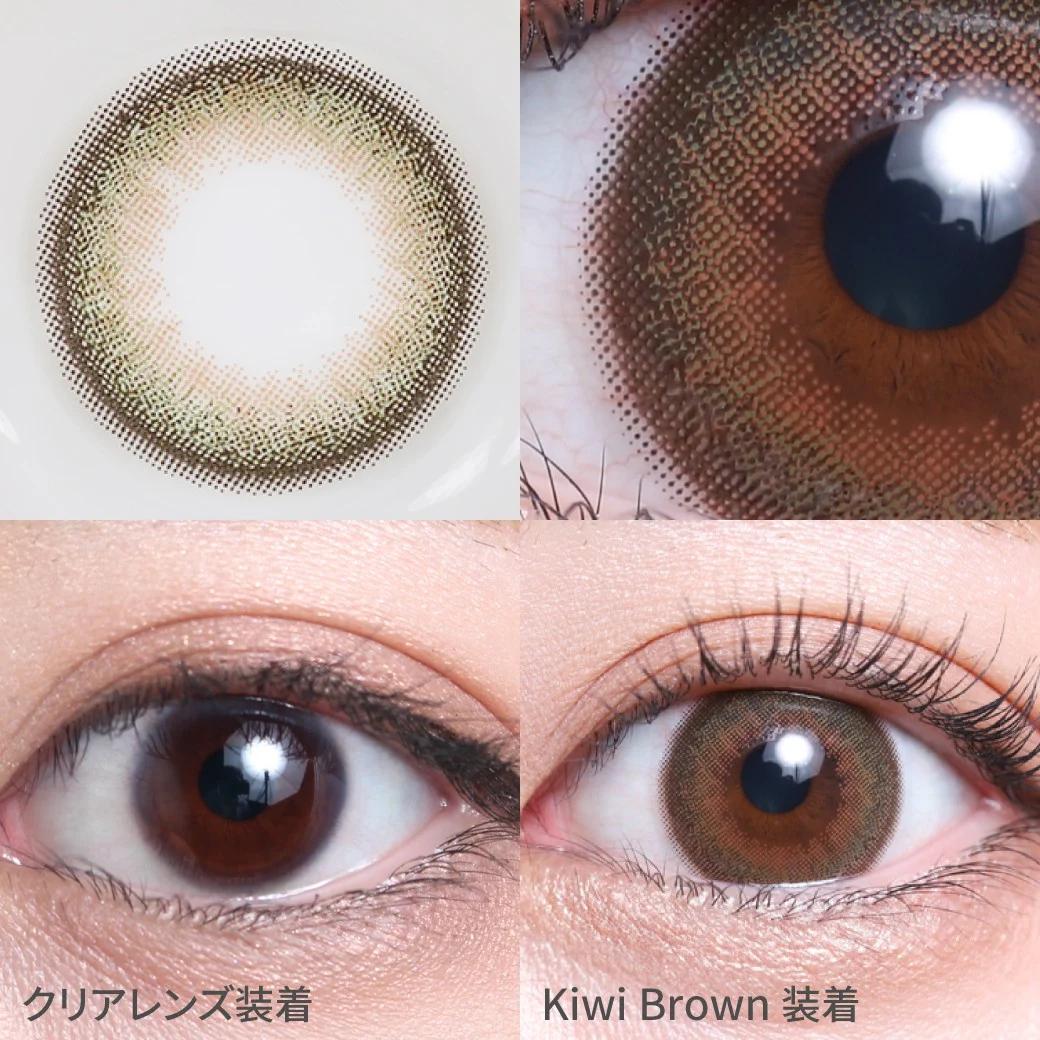 TeAmo - 1 Day Kiwi Brown (10P)