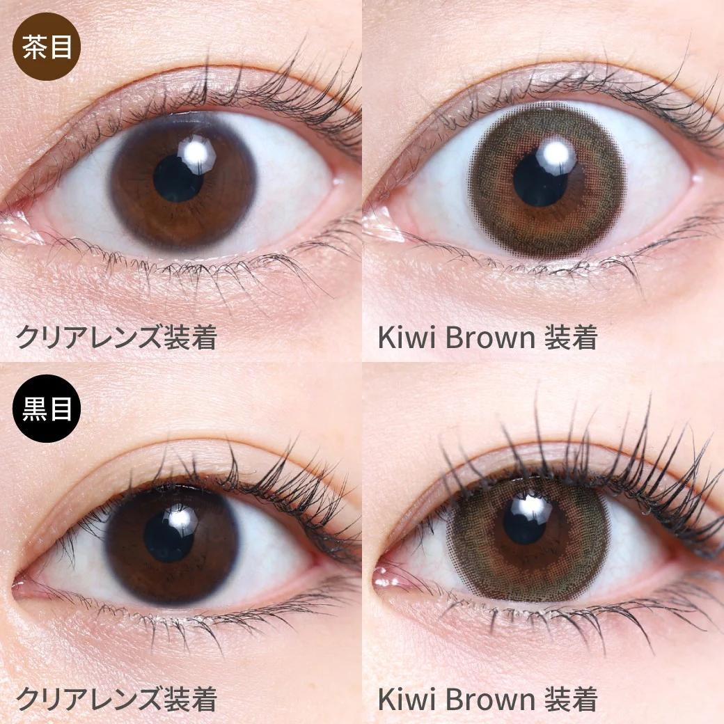 TeAmo - 1 Day Kiwi Brown (10P)