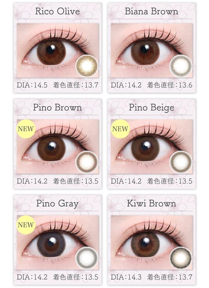 TeAmo - 1 Day Kiwi Brown (10P)