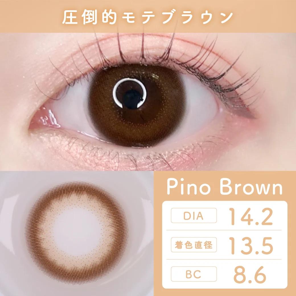 TeAmo - 1 Day Pino Brown (10P)