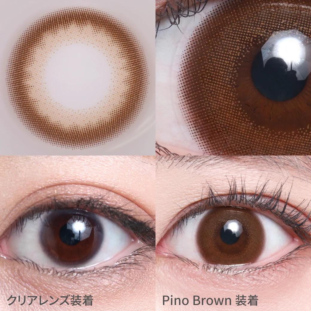 TeAmo - 1 Day Pino Brown (10P)