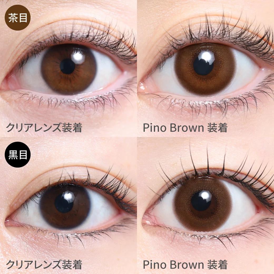 TeAmo - 1 Day Pino Brown (10P)