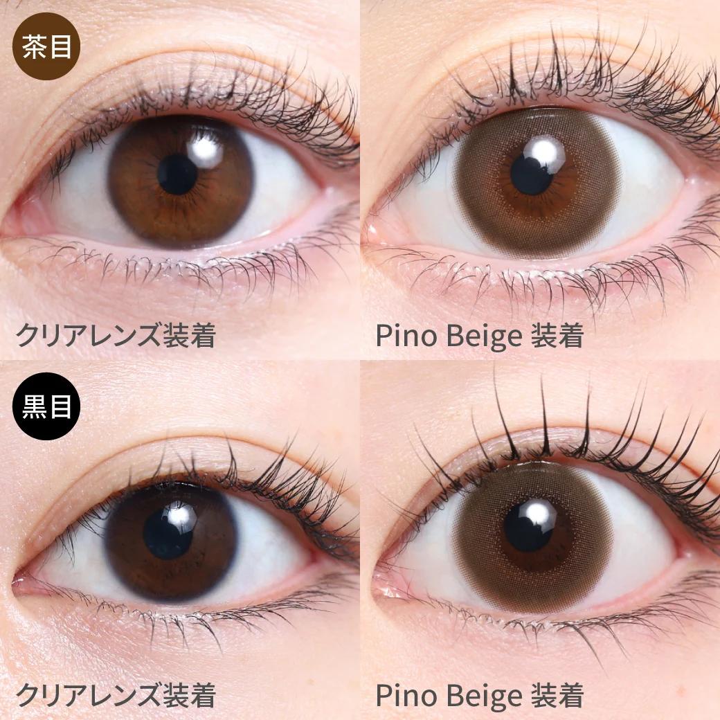 TeAmo - 1 Day Pino Beige (10P)
