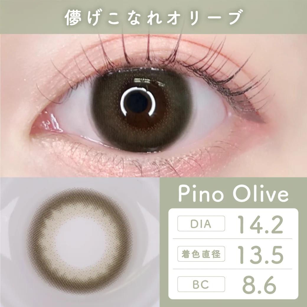TeAmo - 1 Day Pino Olive (10P)